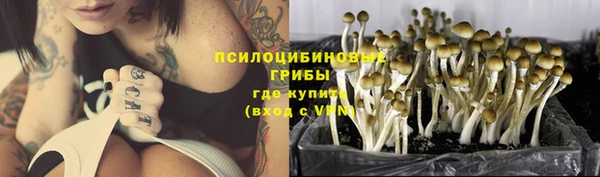 хмурый Алексин