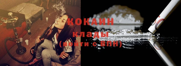 хмурый Алексин