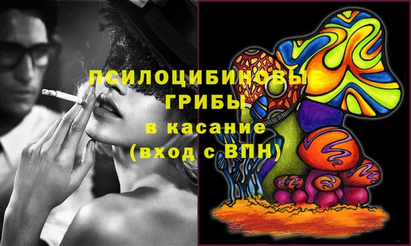 спиды Алексеевка