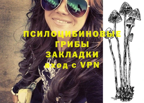 спиды Алексеевка