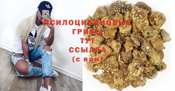 дживик Алзамай