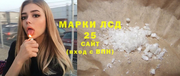 хмурый Алексин