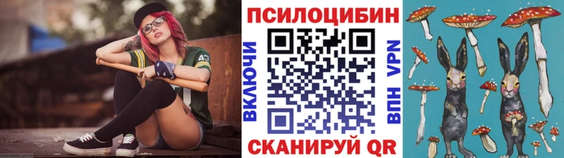 Галлюциногенные грибы Psilocybine cubensis  дарк нет наркотические препараты  Алзамай 