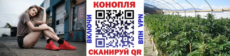 сколько стоит  Алзамай  Шишки марихуана Amnesia 